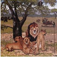 Rolf puslespil løvefamilie 36 brik