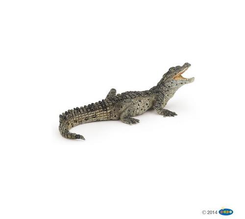 Papo Krokodille baby 11 cm.