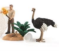 Schleich Struds med kylling, æg, rede og dyrepasser