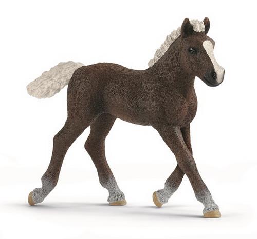 Schleich Schwartswälder føl