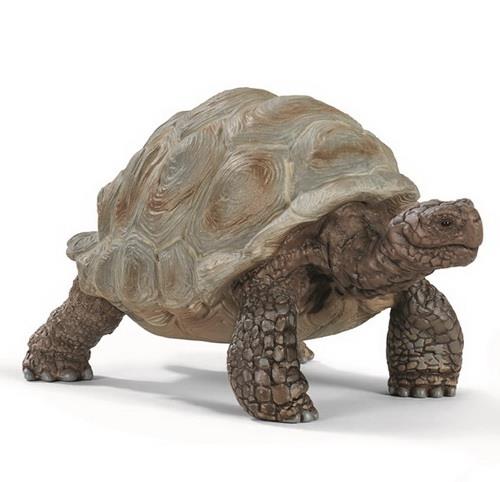 Schleich Gigant skildpadde