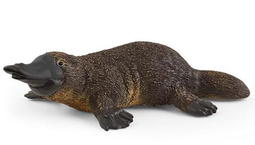 Schleich næbdyr