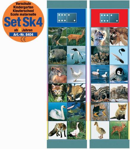 Flocards opgaver natur SK4