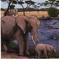 Rolf puslespil elefantfamilie 36 