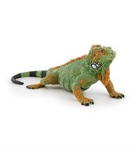 Papo Leguan
