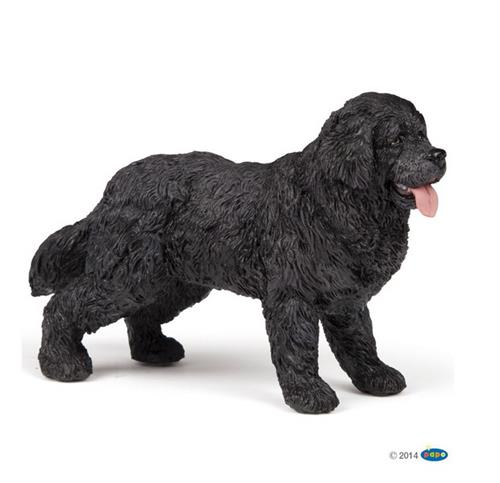 Papo Newfoundland hund
