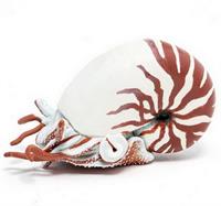 Papo Nautilus