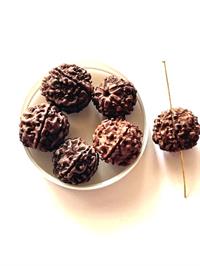 Rudraksha perler 18 mm 6 stk