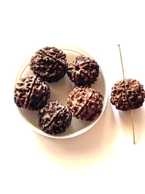 Rudraksha perler 18 mm 6 stk
